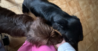 chloe pet sitter à ST PONS DE MAUCHIENS 34230_3