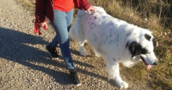 marie pet sitter à REIMS 51100_1