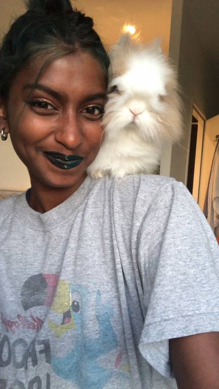 diane pet sitter à TROYES 10000_4