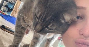 maéva pet sitter à SOUFFLENHEIM 67620_5