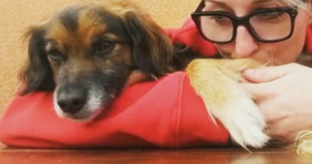 sandrine pet sitter à Tain-l'Hermitage 26600_0