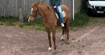 mathilde pet sitter à LA MADELEINE 59110_8