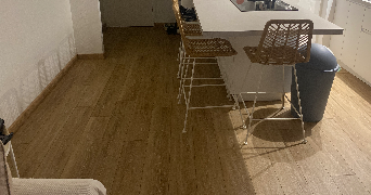 franka pet sitter à ANTIBES 06160_2