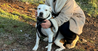 sandra pet sitter à AUBORD 30620_9