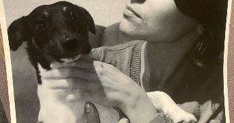 cassandra pet sitter à VITRY SUR SEINE 94400_2