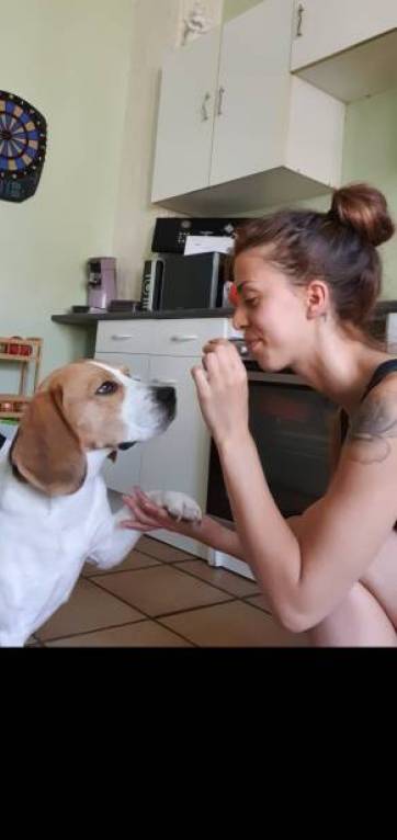 Jessica pet sitter à Algrange 57440_1