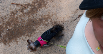 justine pet sitter à PARIS 13 75013_2