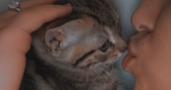 niema pet sitter à LYON 09 69009_0