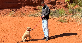 clément pet sitter à MARSEILLE 12 13012_0