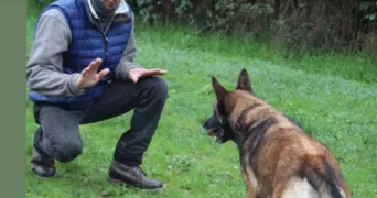 grégoire pet sitter à ANNECY 74940