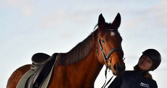 ilyanna pet sitter à LA ROCHE SUR YON 85000_0