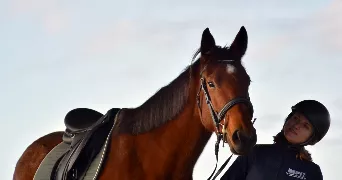 ilyanna pet sitter à LA ROCHE SUR YON 85000