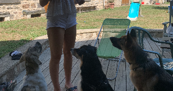 gabrielle pet sitter à CLERMONT FERRAND 63000_3