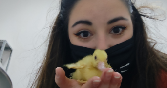 marine pet sitter à BORDEAUX 33000_2