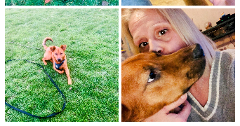 séverine  pet sitter à 59000 Lille 59000_3