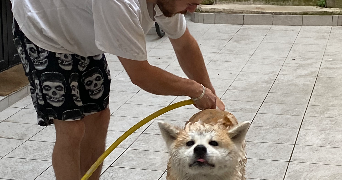 elie pet sitter à PARIS 11 75011_3