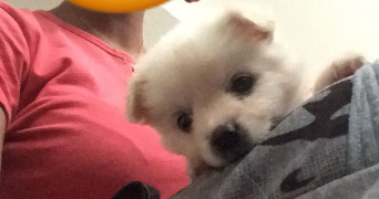 naomi pet sitter à FONTENAY AUX ROSES 92260_1