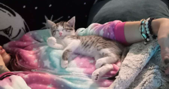 emma pet sitter à ST CYPRIEN 24220_3
