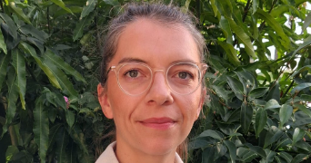 maelle pet sitter à PLOMELIN 29700_0