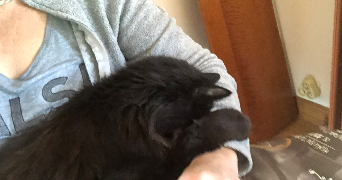 beatrice pet sitter à SACLAY 91400_4