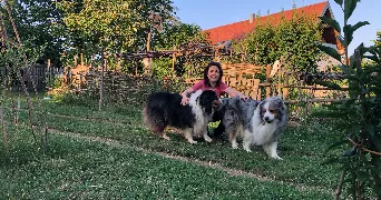 virginie pet sitter à MITTELBERGHEIM 67140