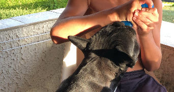 yria pet sitter à CHAMBERY 73000_4