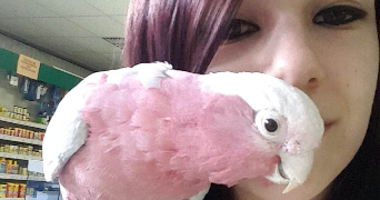 marie pet sitter à Chaingy 45380_5