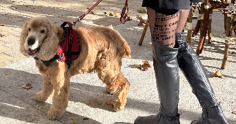 sophie pet sitter à LYON 02 69002_3