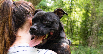 pauline pet sitter à LA GARENNE COLOMBES 92250_1