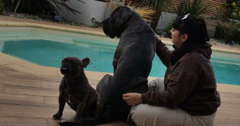 lea pet sitter à TOULON 83200_2