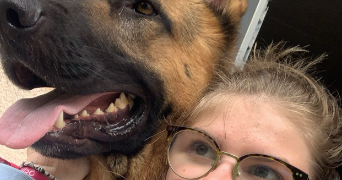 amandine pet sitter à AMFREVILLE LA MI VOIE 76920_1