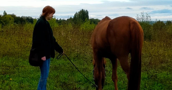 olivia pet sitter à PARIS 15 75015_3