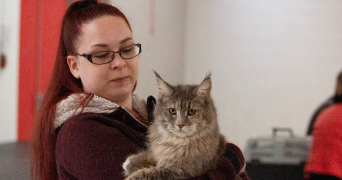 morgane pet sitter à LA VIEILLE LYRE 27330_3