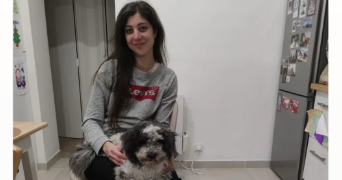 aniko pet sitter à LE PERREUX SUR MARNE 94170_2