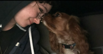 anna pet sitter à FAMECK 57290_1