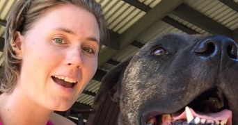 emilie pet sitter à MONTLOUIS SUR LOIRE 37270_1