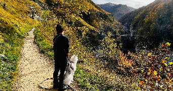 constance pet sitter à CHENNEVIERES SUR MARNE 94430_4