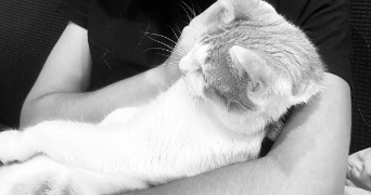 lisa pet sitter à EZANVILLE 95460_1