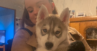 marine pet sitter à ARRAS 62000_1