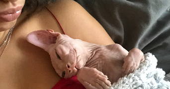 alana pet sitter à LYON 03 69003_3