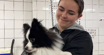 léna pet sitter à ST GERVAIS 85230