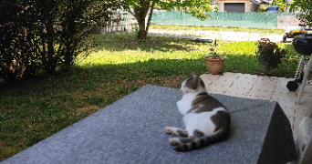 guylène pet sitter à AYSE 74130_6
