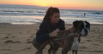 anael pet sitter à LARRESSORE 64480_1