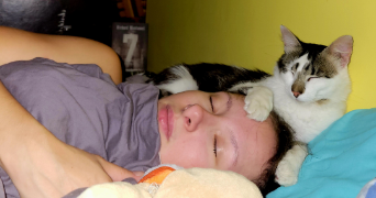 lola pet sitter à TOULOUSE 31100_3