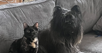 floriane pet sitter à CARBONNE 31390_6