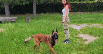 anais pet sitter à ST CHRISTOL LEZ ALES 30380_11