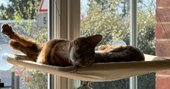 rachelle pet sitter à YVETOT 76190_1