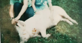 isabelle pet sitter à SIEWILLER 67320_1