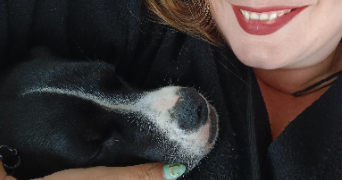 louise pet sitter à BONNEVILLE 74130_1