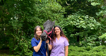 clémence pet sitter à MONTPELLIER 34070_5